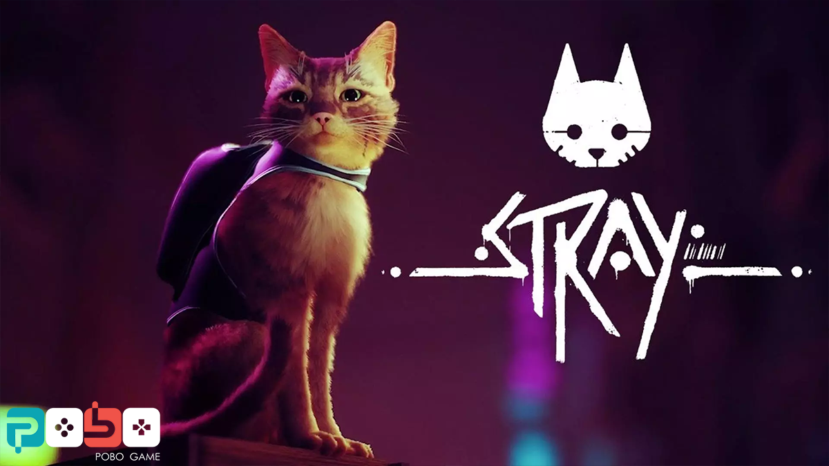 اکانت قانونی بازی Stray